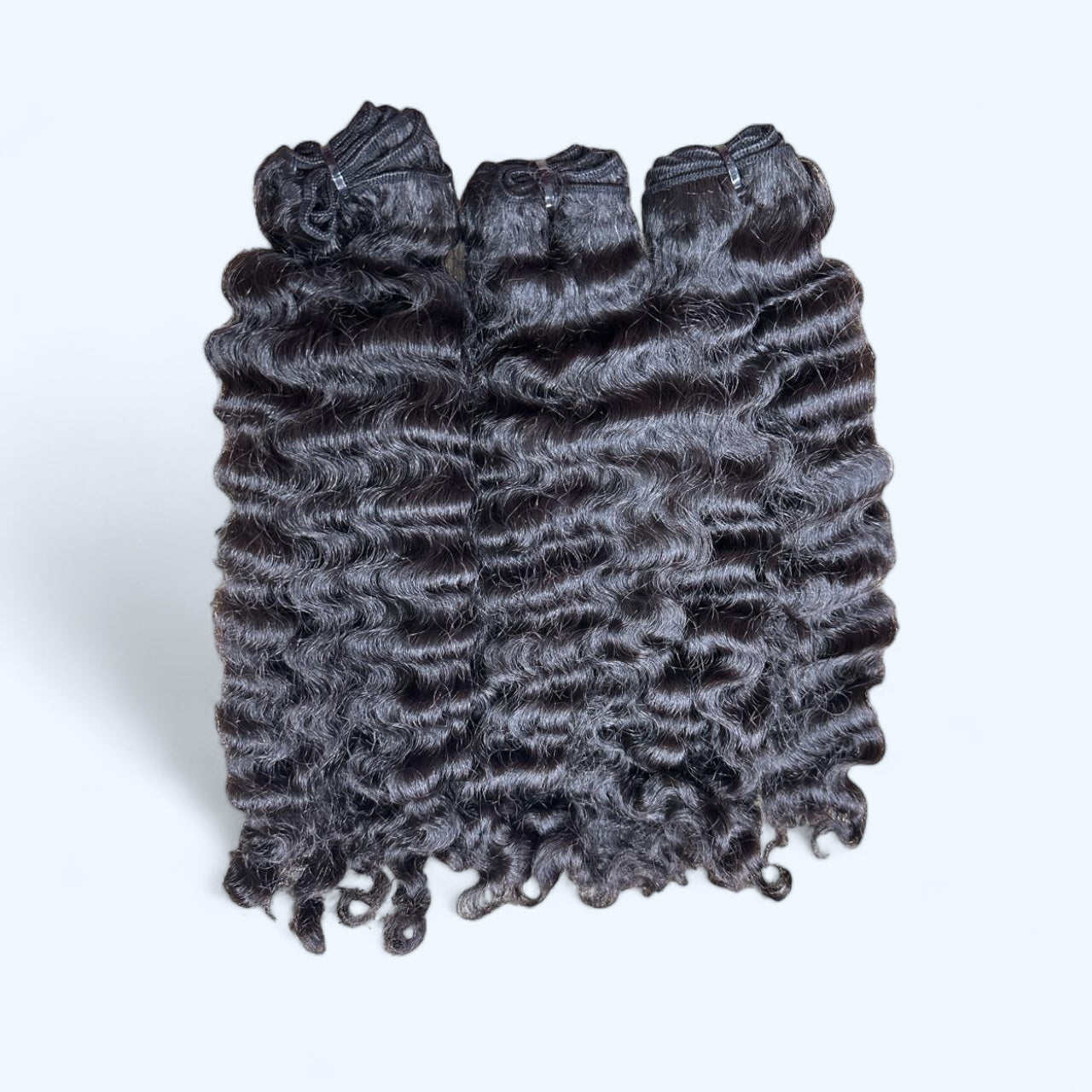 Burmese Curly